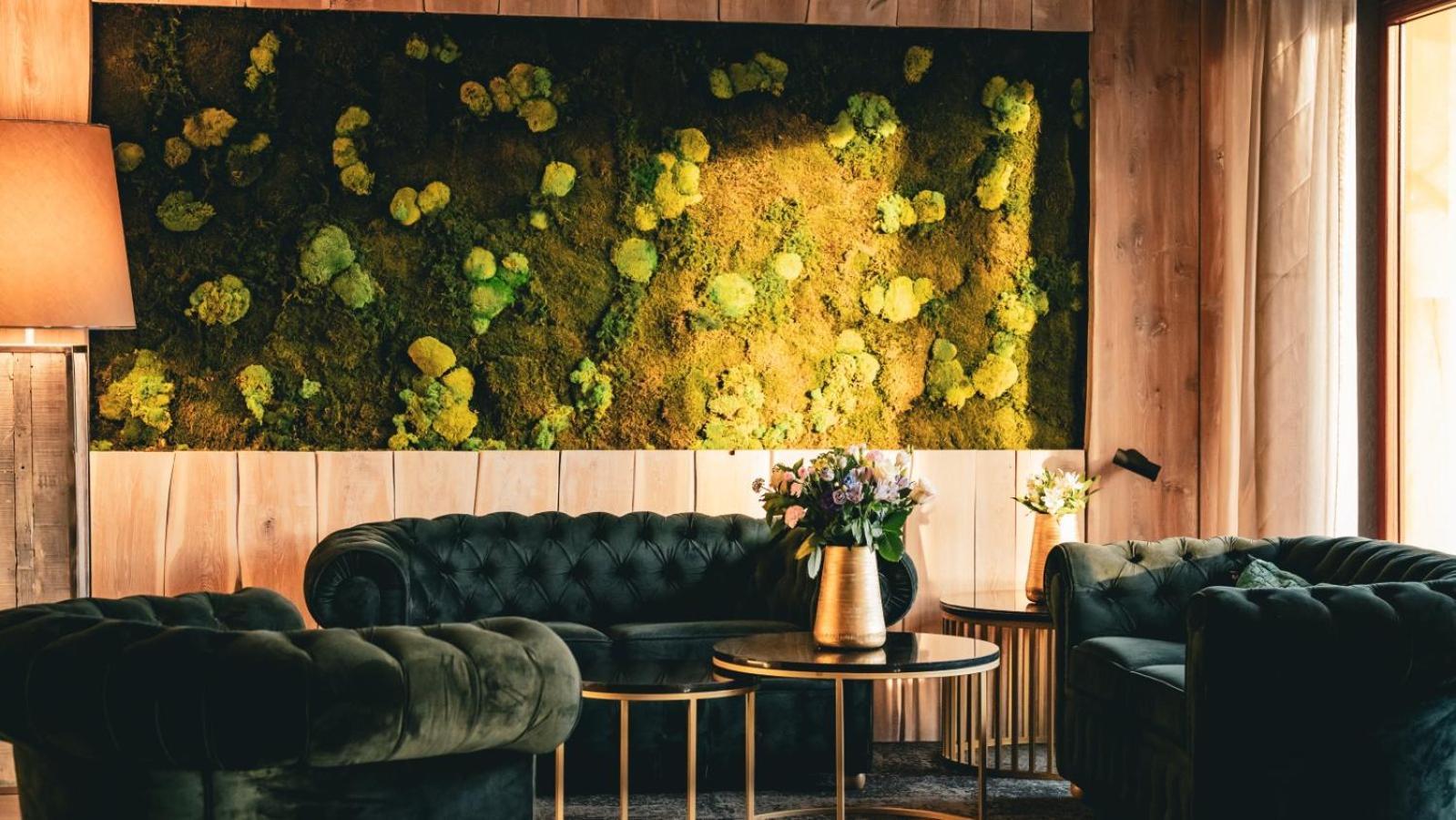 Hotel & Medi-Spa Bialy Kamien Świeradów-Zdrój Eksteriør bilde